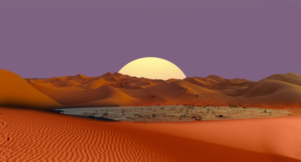 Dead trees in Dead Vlei - Sossusvlei, Namib desert, Namibia
